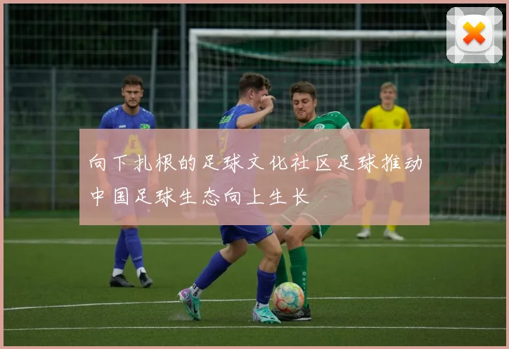 向下扎根的足球文化社区足球推动中国足球生态向上生长