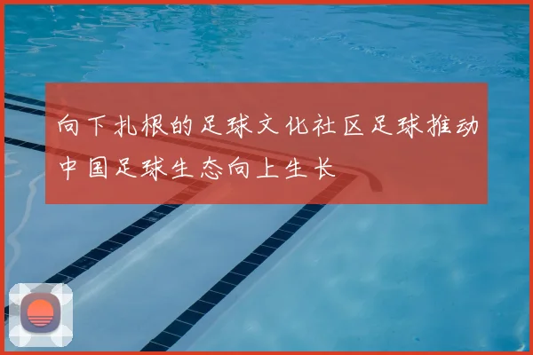 向下扎根的足球文化社区足球推动中国足球生态向上生长
