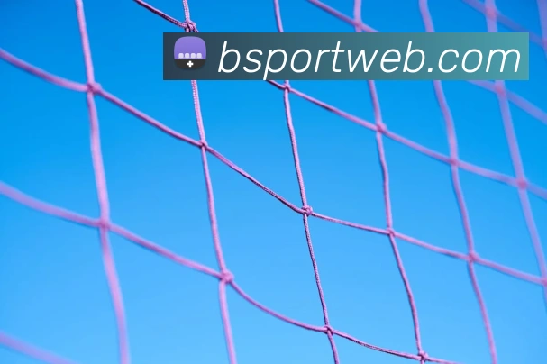 必一运动平台生态图